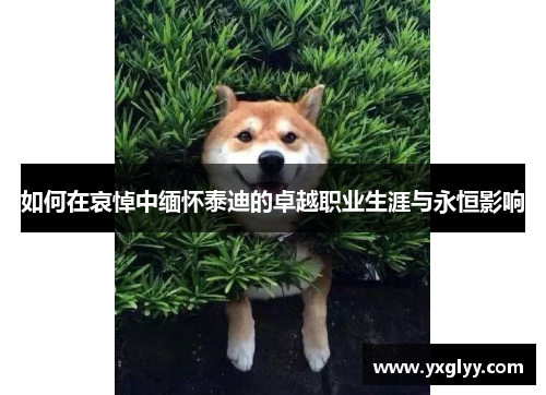如何在哀悼中缅怀泰迪的卓越职业生涯与永恒影响